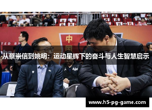 从蔡崇信到姚明：运动星辉下的奋斗与人生智慧启示
