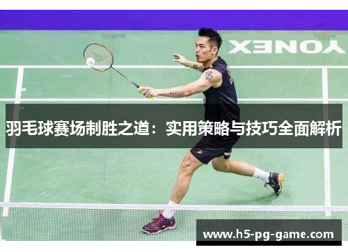 羽毛球赛场制胜之道：实用策略与技巧全面解析
