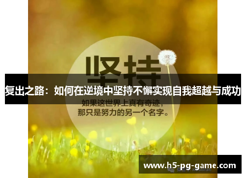 复出之路：如何在逆境中坚持不懈实现自我超越与成功