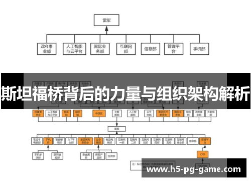 斯坦福桥背后的力量与组织架构解析 斯坦福桥背后的力量与组织架构解析